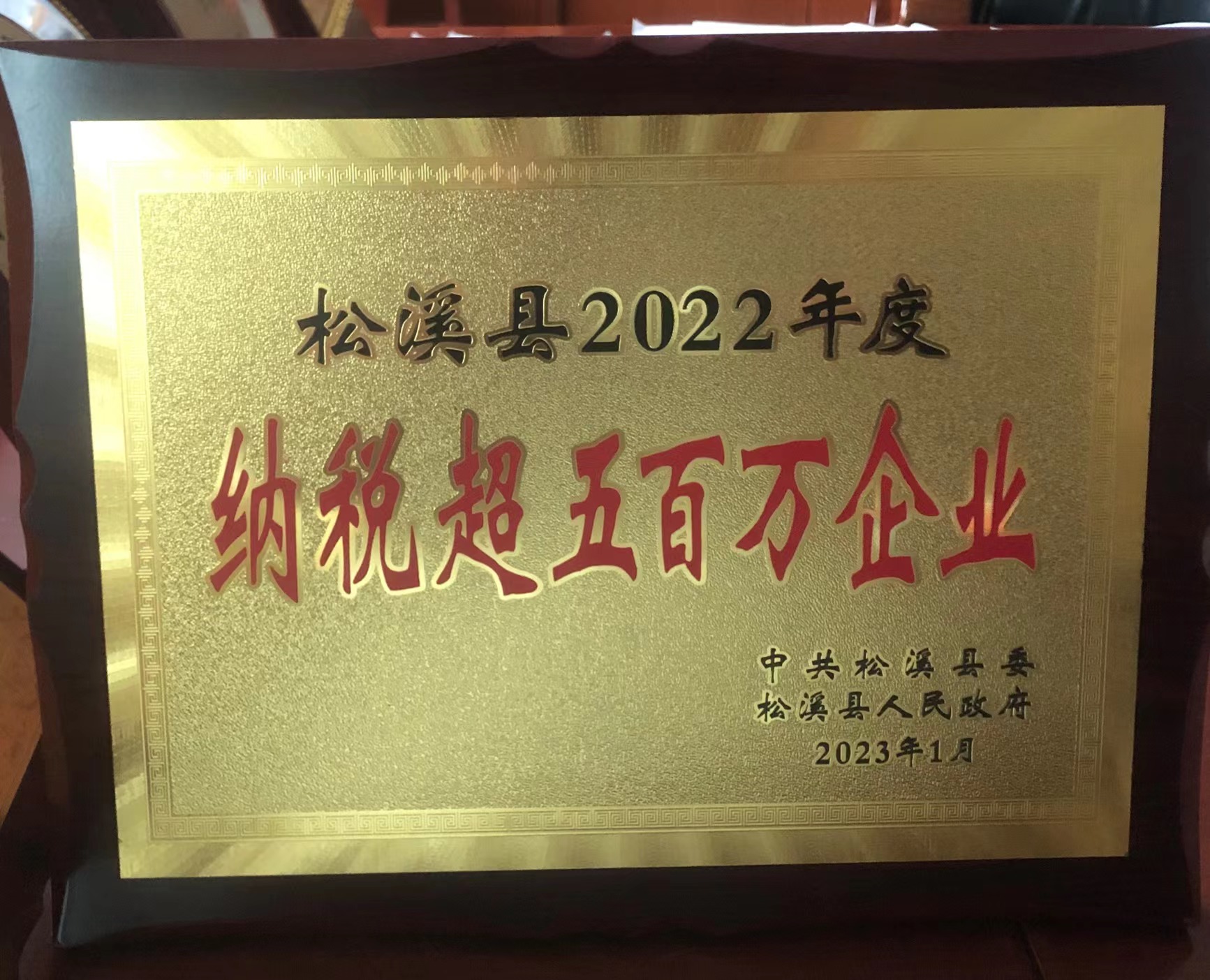 喜報！易順建工集團喜獲“松溪縣2022年度納稅超五百萬(wàn)企業(yè)”榮譽(yù)