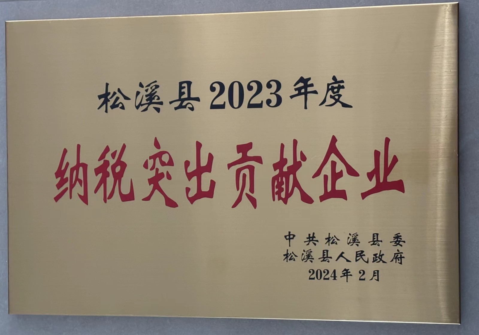 喜報！易順建工集團榮獲“松溪縣2023年度納稅突出貢獻企業(yè)”稱(chēng)號